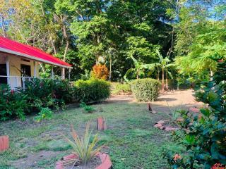 Cabaña ecológica Casa Mango - 8