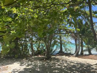 Motu ATAHIRI Camping -  - 7