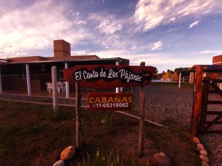 El Canto De Los Pájaros - 8