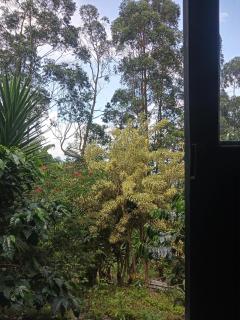 Paz y Tranquilidad - 9