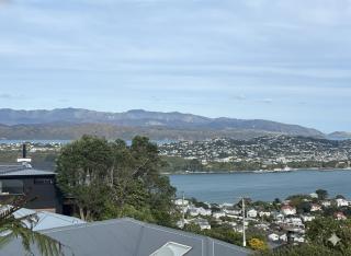 Hilltop Tiny Escape Stunning Harbour & City Views - 1