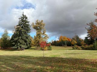 South Vancouver Garden Home - 7