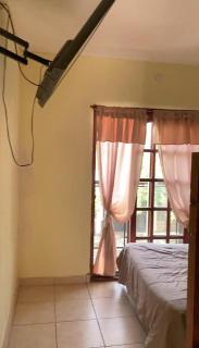 El descanso de los colibris - 2