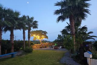 Seogwipo Dawa Pool Villa Pension - 7