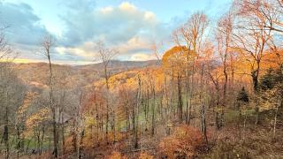 Timber Ridge Retreat - 9