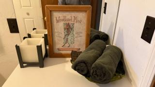 Zen Cottage in the Woodlands - 8