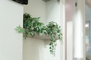 Walk to South Brisbane & Convention Centre - 6