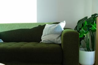 Walk to South Brisbane & Convention Centre - 5