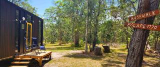 Wilderness Whisper By Tiny Away - 5