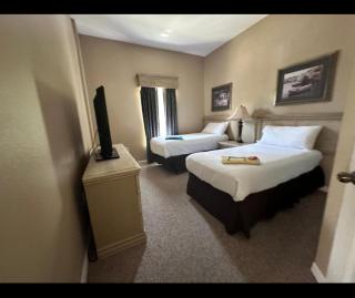 Stay with Disney 2 - 0