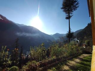 The Jibhi Mountain Retreat - 4
