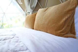 ภูจัน รีสอร์ท&ออนเซ็น แคมปิ้ง - 8