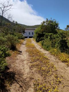 Casa parcela en Quilimari a 20 minutos de playa Pichidangui - 9
