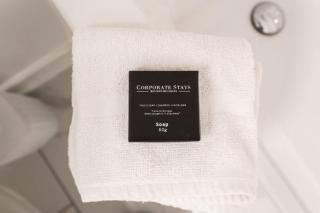 The Lennox Pet Friently 2 Bedroom Rental in Ottawa 613 - 0