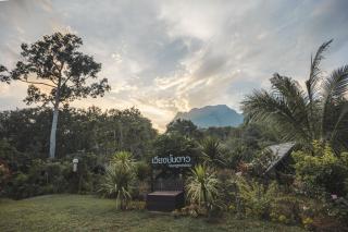 เวียงปันดาว เชียงดาว - 7