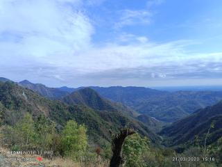 Brijwasi homestay - 3