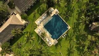 Alila Manggis - 0