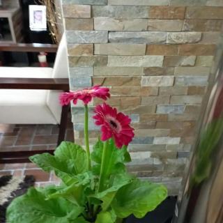 Casa castro chiloe - 7