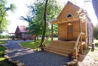 Historic Log Cabin near Danville, Virginia - 3