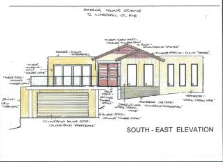 Rye Beach Tree Tops - 7