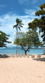 Tropical Kanakbai - 8