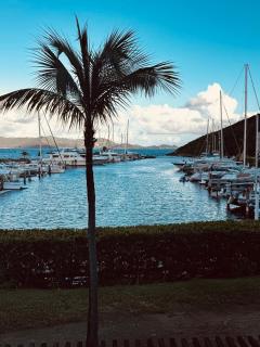 Stunning Seaside Condo on Sapphire Beach with Pool - 6