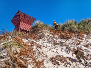 6 person holiday home on a holiday park in Blokhus - 9