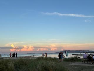 Rye Beach Tree Tops - 8