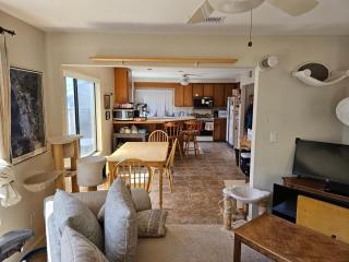 Prime City Access - Welcome to the Cat House - Room 2 - No Smoking or Smoke Residue, No Fragrance such as Perfume or Cologne, both due to a medical condition - 4