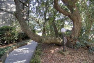 Mariner's Cove - A 202 - 2