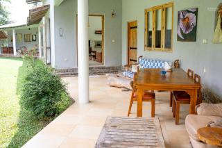 Rivendell Twisted Tree - 2