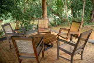 Rivendell Twisted Tree - 7