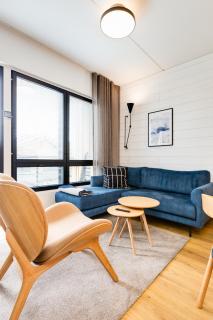 Ski Chalet C11 Levi Center incl 2 ski passes by Aavalevi - 6