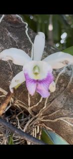 Tiny house WiFi and parking - 2