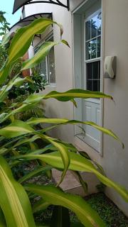 Skyline View Garden Apartment - 2