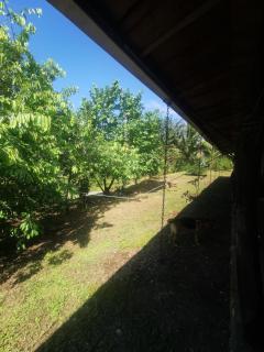 Hotel la montaña el trogon - 4