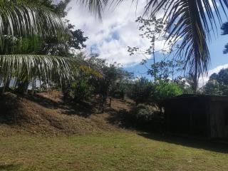 Hotel la montaña el trogon - 3