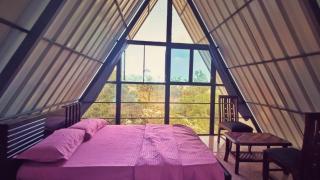 ERA dreams - Vagamon - 5