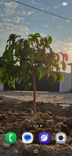 DREAMS INN guest house - 3