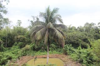 Morning Mist Home stay - 8