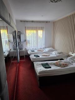 Villa Ventana Poznań City Free Parking Śniadanie w Cenie - 3