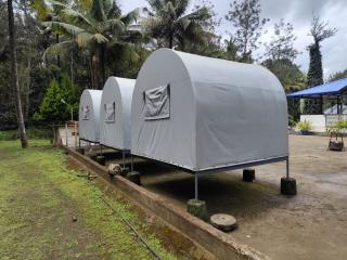 Rising Surya Homestay - 3