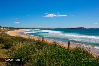 Coastal Palms - Family & Pet-Friendly Beachside Haven - 9