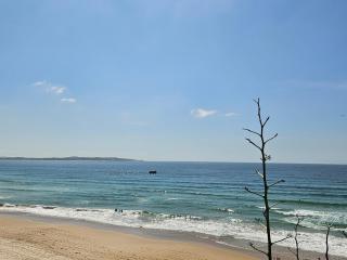 South Cronulla Liandys - 2