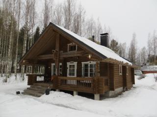 Cottage-karaoke Koivikko - 9