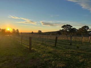Sunset Tiny House at Bluebush Estate X by Tiny Away - 8