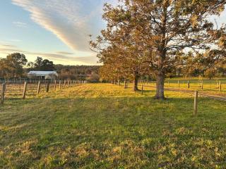 Sunset Tiny House at Bluebush Estate X by Tiny Away - 5