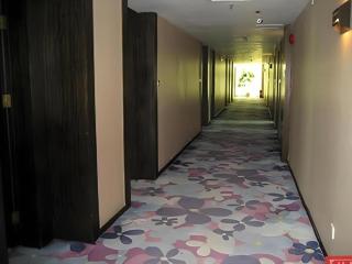 Shanshui Trends Hotel Shenzhen Southern City - 8