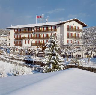 Hotel Panorama Wellness & Resort - Malosco - 9