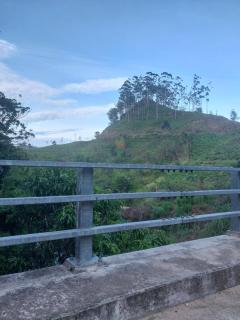 River Line -Ella - 9